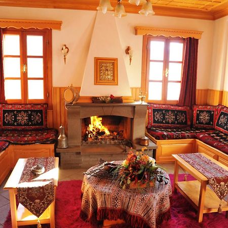 Hotel Anax Metsovo Esterno foto