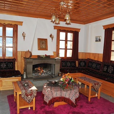 Hotel Anax Metsovo Esterno foto