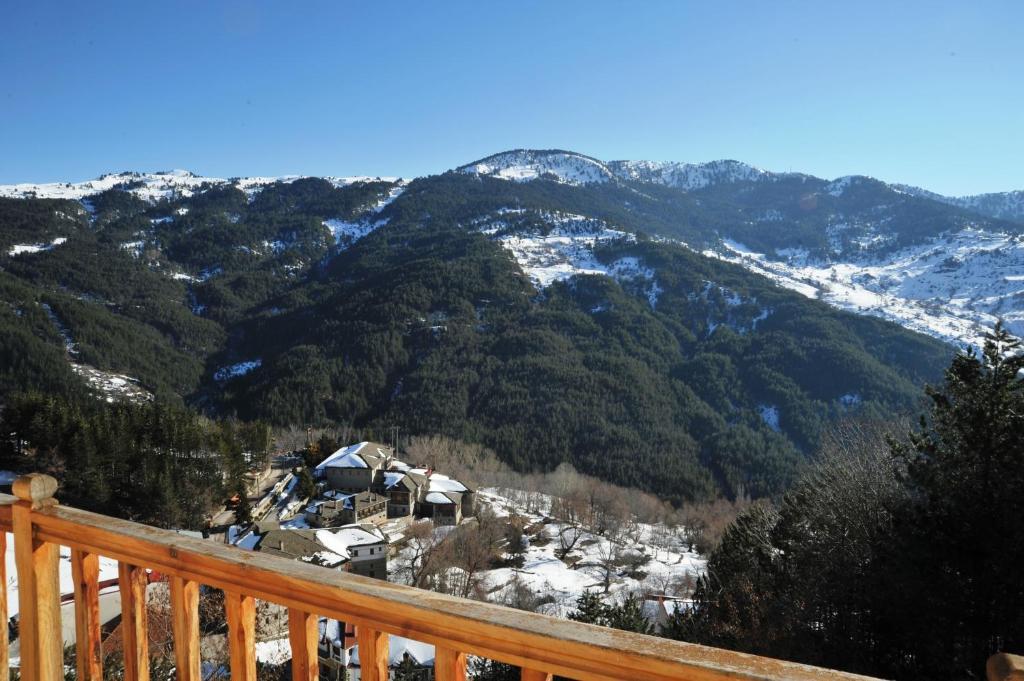 Hotel Anax Metsovo Camera foto
