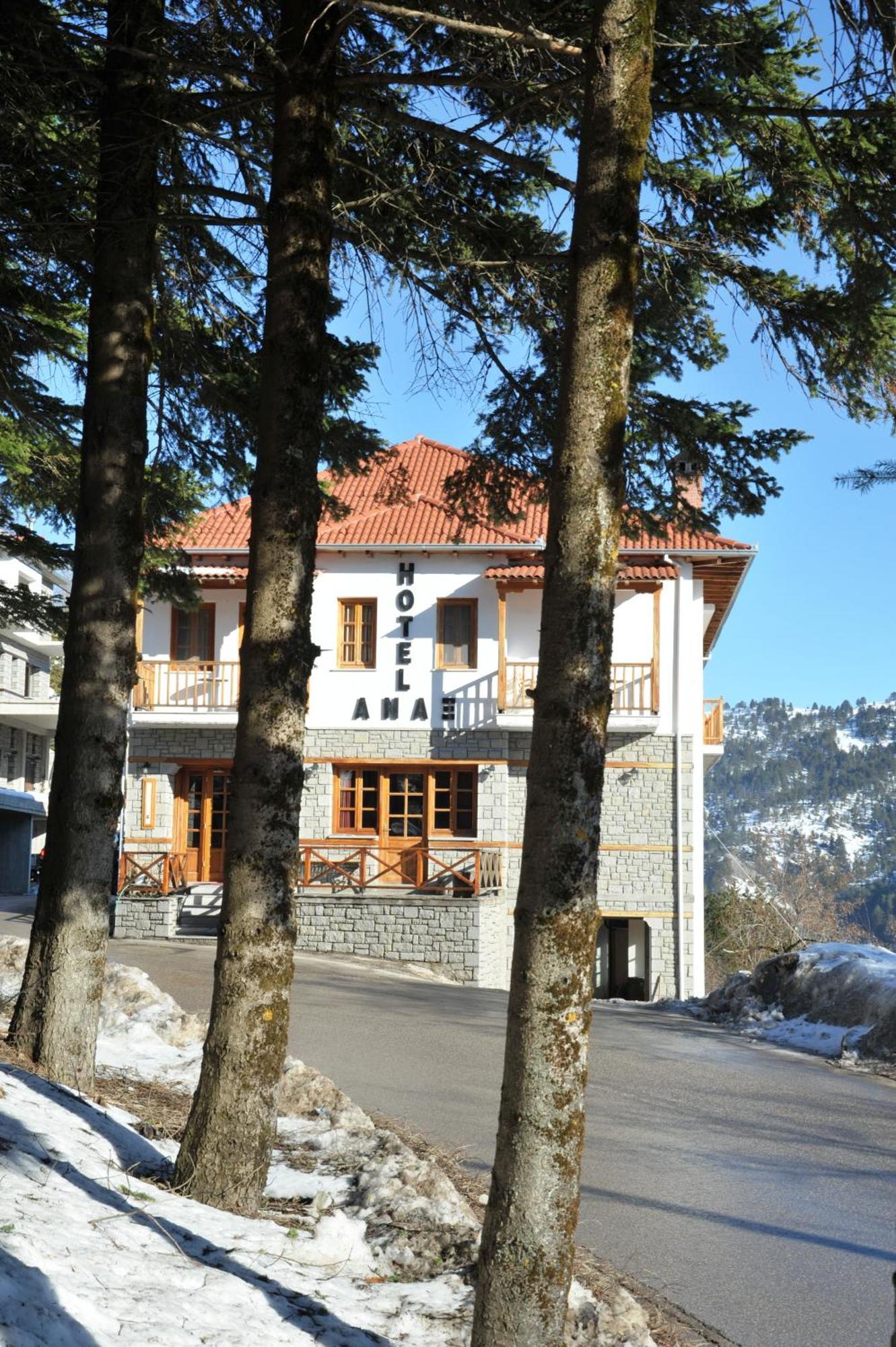 Hotel Anax Metsovo Esterno foto