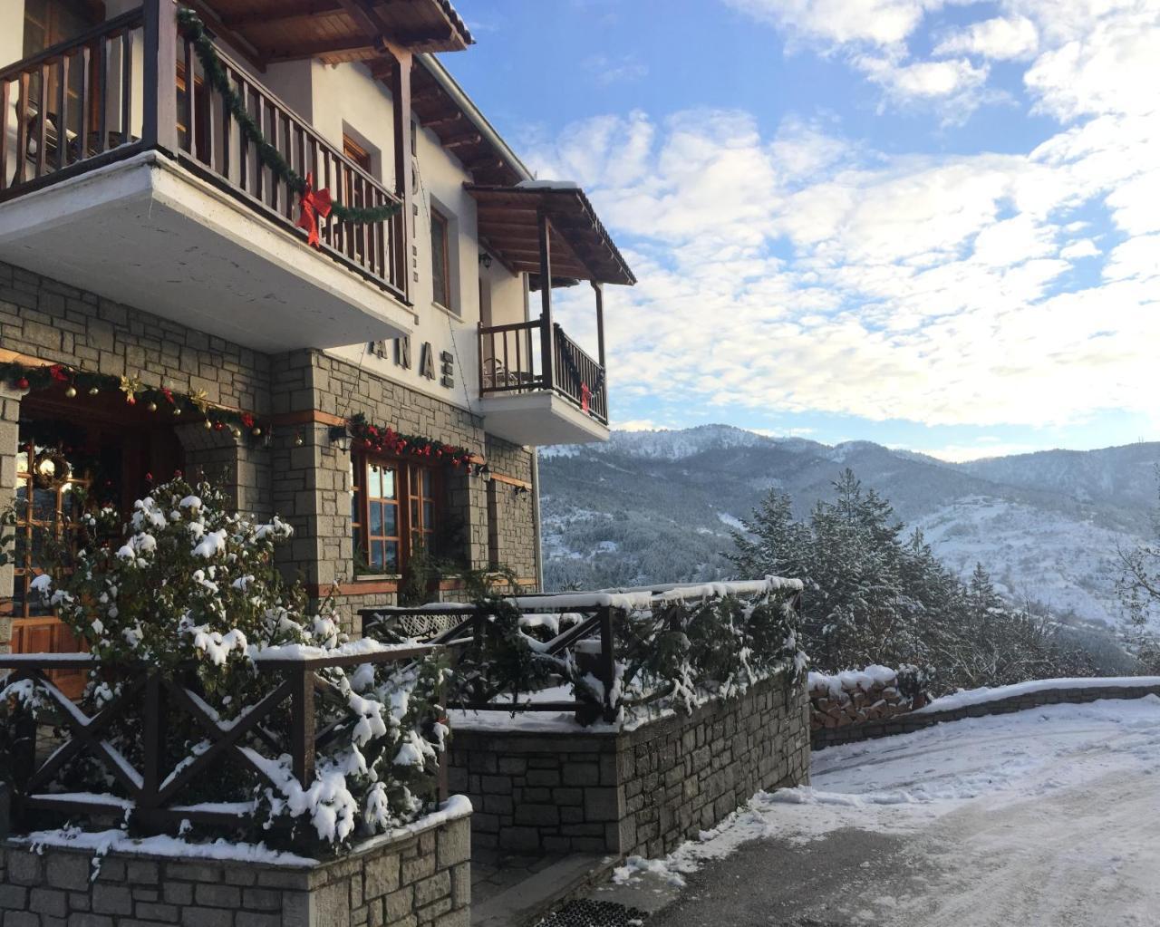 Hotel Anax Metsovo Esterno foto